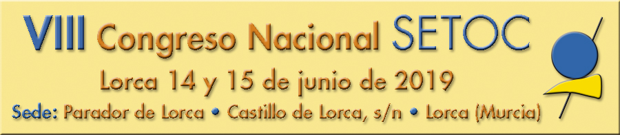 VIII Congreso SETOC